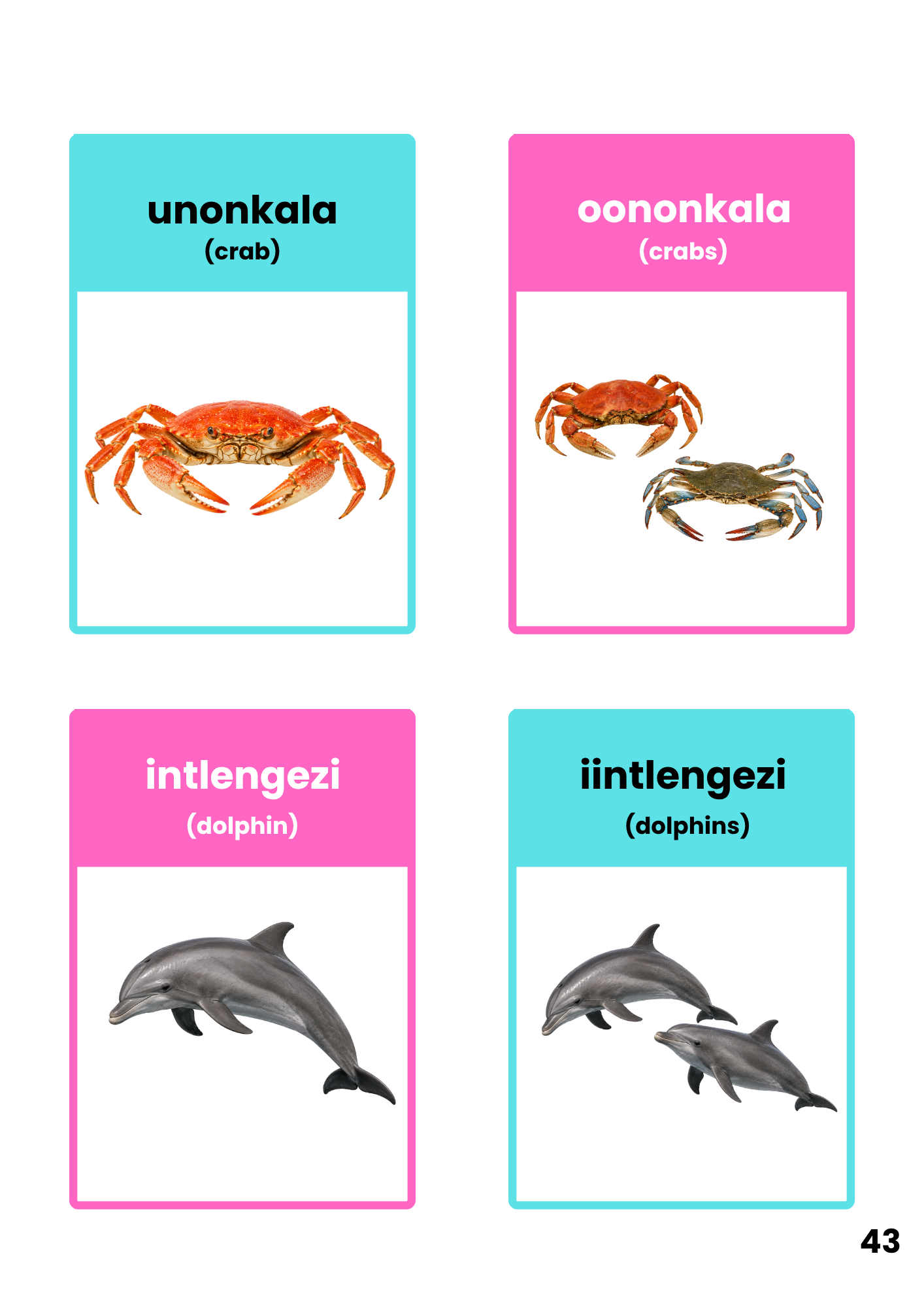 Picture book page showing crabs and dolphins with singular and plural isiXhosa names and English translations
